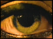 GoldenEye by Tina Turner